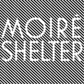 Shelter (2LP) Vinyl Record