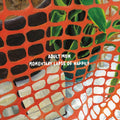 Momentary Lapse of Happily Vinyl Record