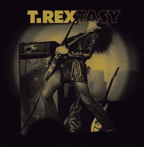 T.Rextasy Vinyl Record