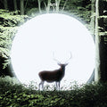 Installation (Color Vinyl) Vinyl Record