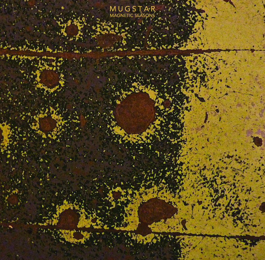 Magnetic Seasons Vinyl Record