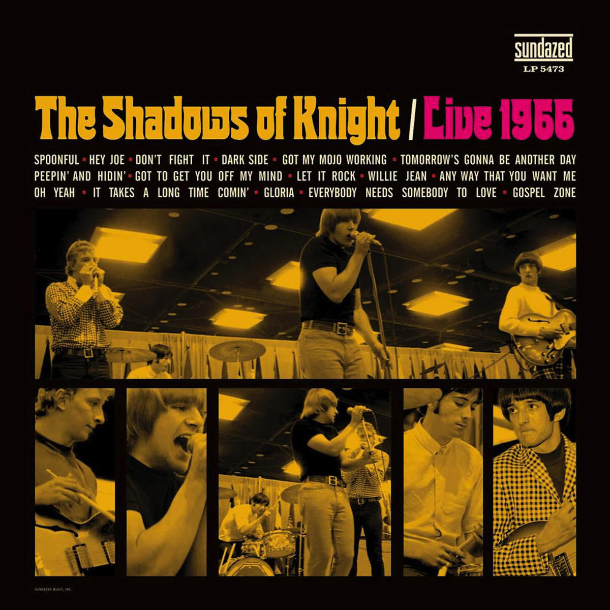 Shadows of Knight, The - Live 1966 Vinyl Record