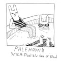Palehound - YMCA Pool Vinyl Record