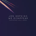 We Disappear Vinyl Record