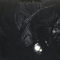 Cocteau Twins - The Pink Opaque Vinyl Record