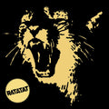 Ratatat - Classics Vinyl Record
