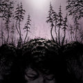 Birds Of Passage - This Kindly Slumber Vinyl Record