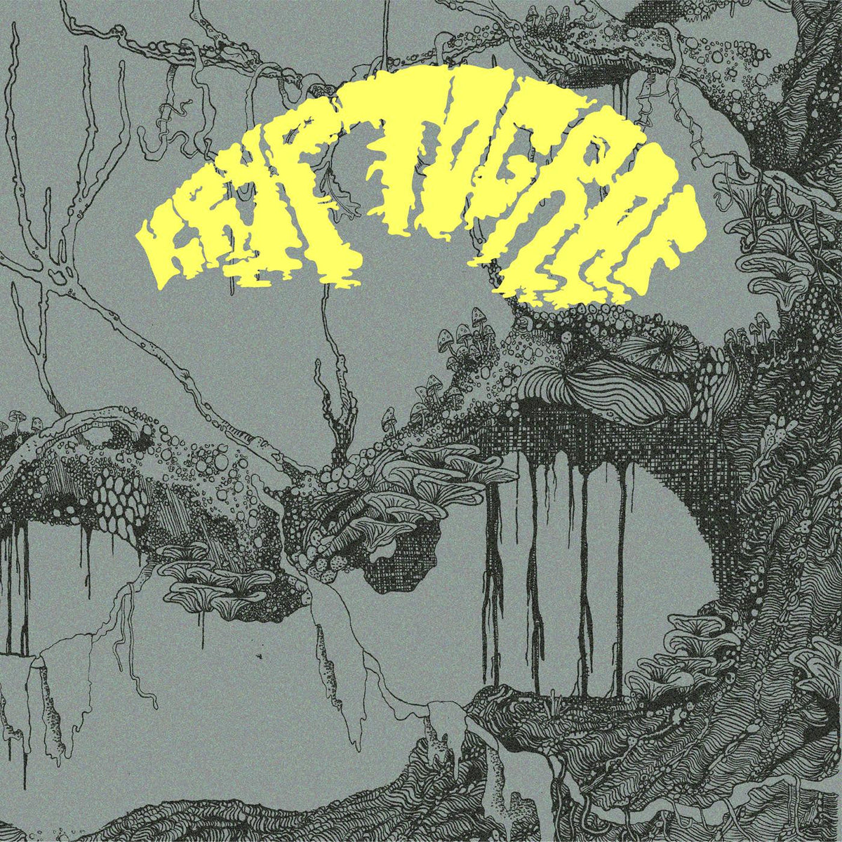 Kryptograf Vinyl Record