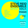 Steve Reid Ensemble (feat. Kieran Hebden) - Spirit Walk Vinyl Record