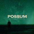 Radiophonic Workshop, The - Possum OST (Green Vinyl) Vinyl Record