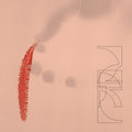 ZRL - Our Savings Vinyl Record