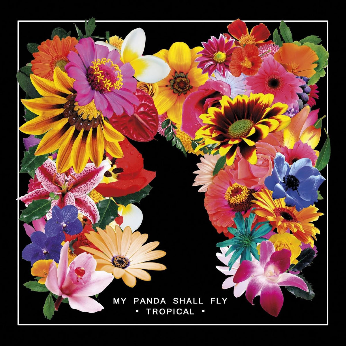 My Panda Shall Fly - Tropical Vinyl Record