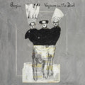 Barzin - Voyeurs in the Dark Vinyl Record