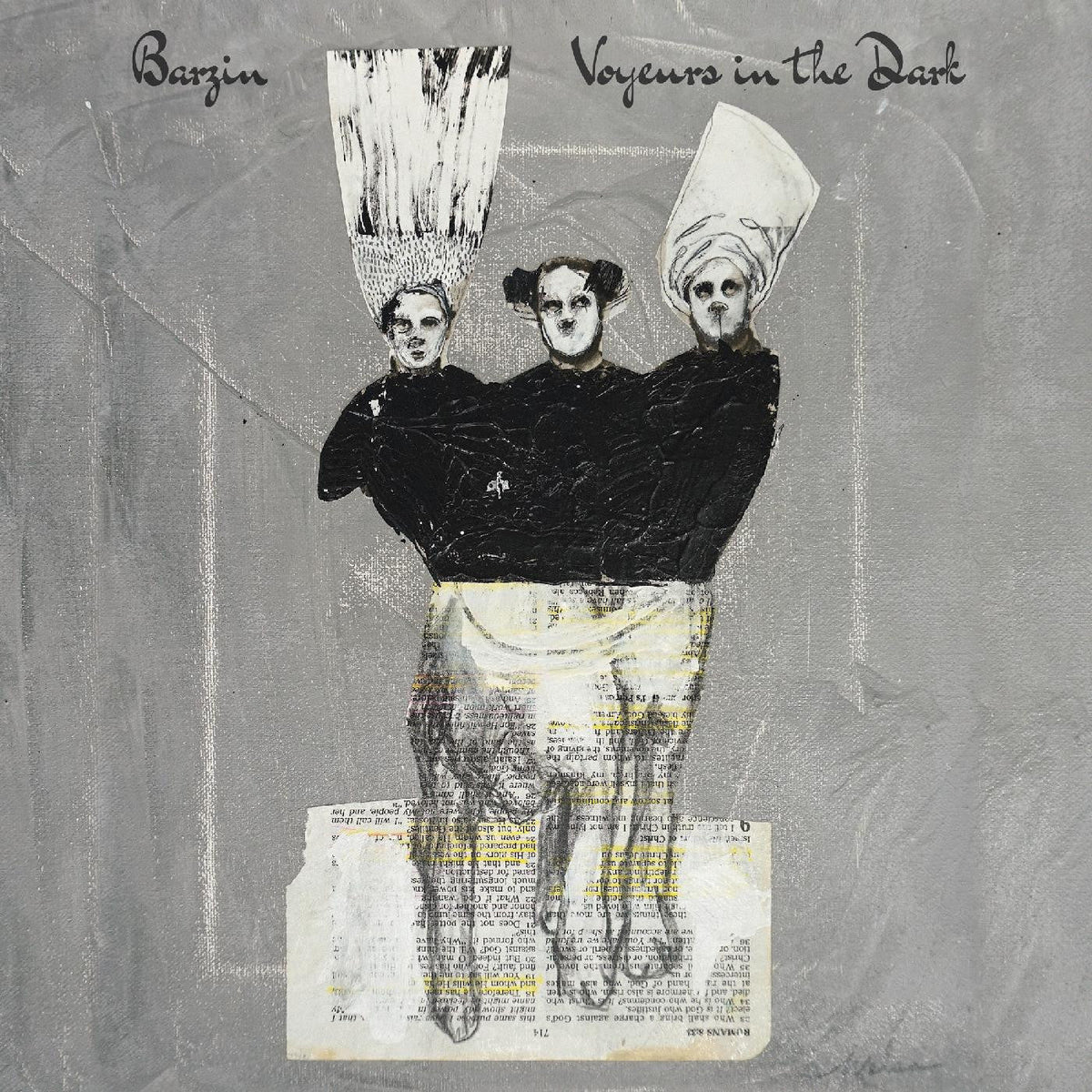 Barzin - Voyeurs in the Dark Vinyl Record
