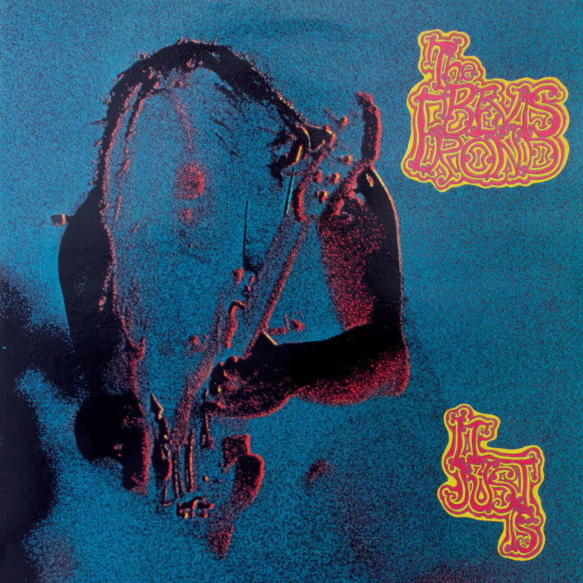 Bevis Frond, The - It Just Is Vinyl Record