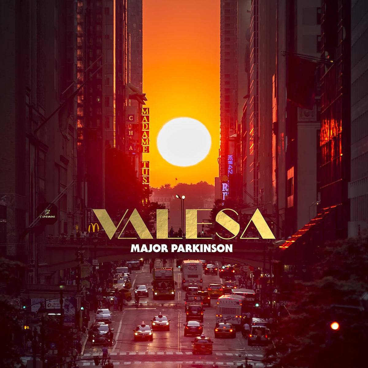 Major Parkinson - Valesa Vinyl Record