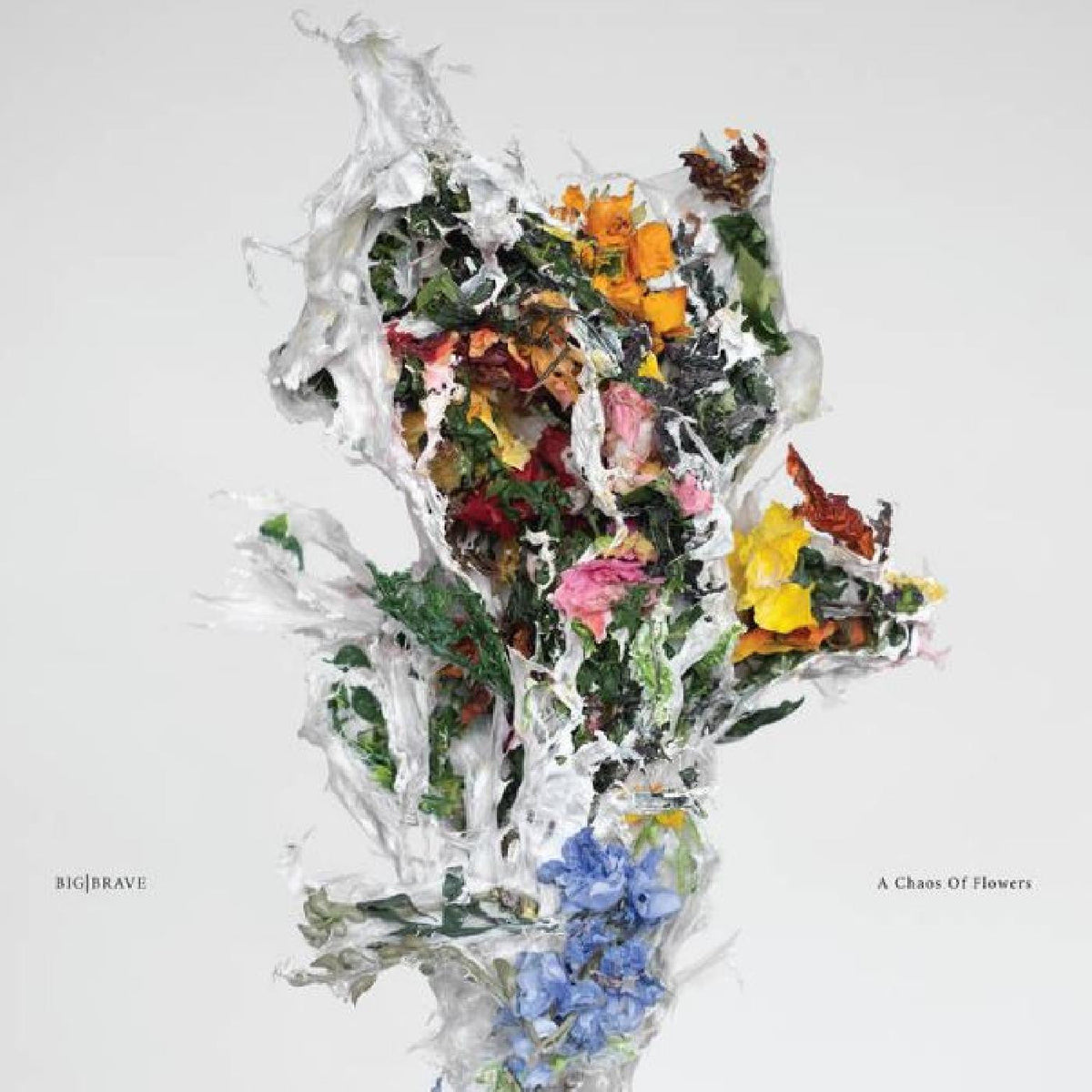 A Chaos of Flowers (Indie Exclusive, Clear Pink Vinyl) Vinyl Record