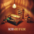 Woke Up Alone Vinyl Record