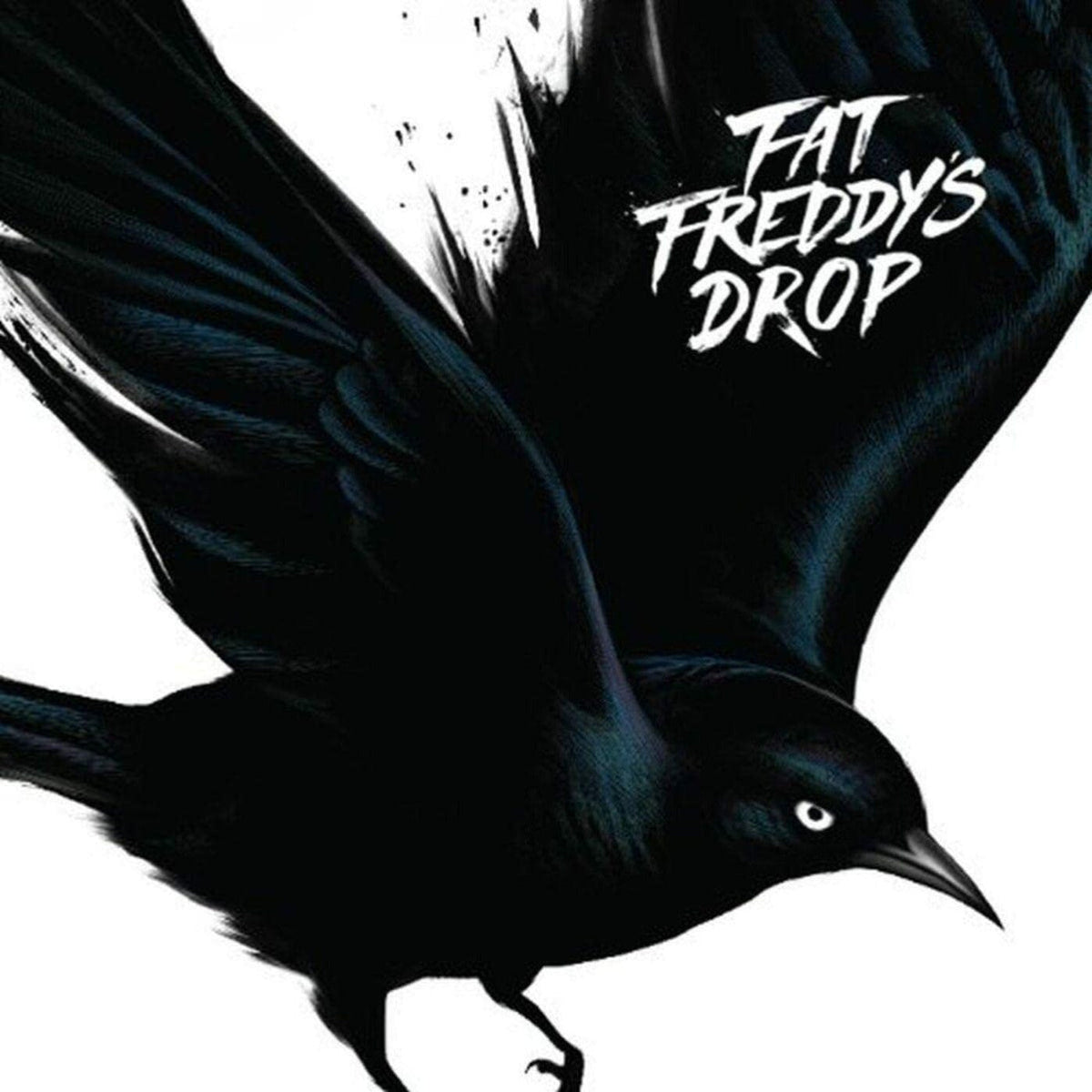 Blackbird Vinyl Record