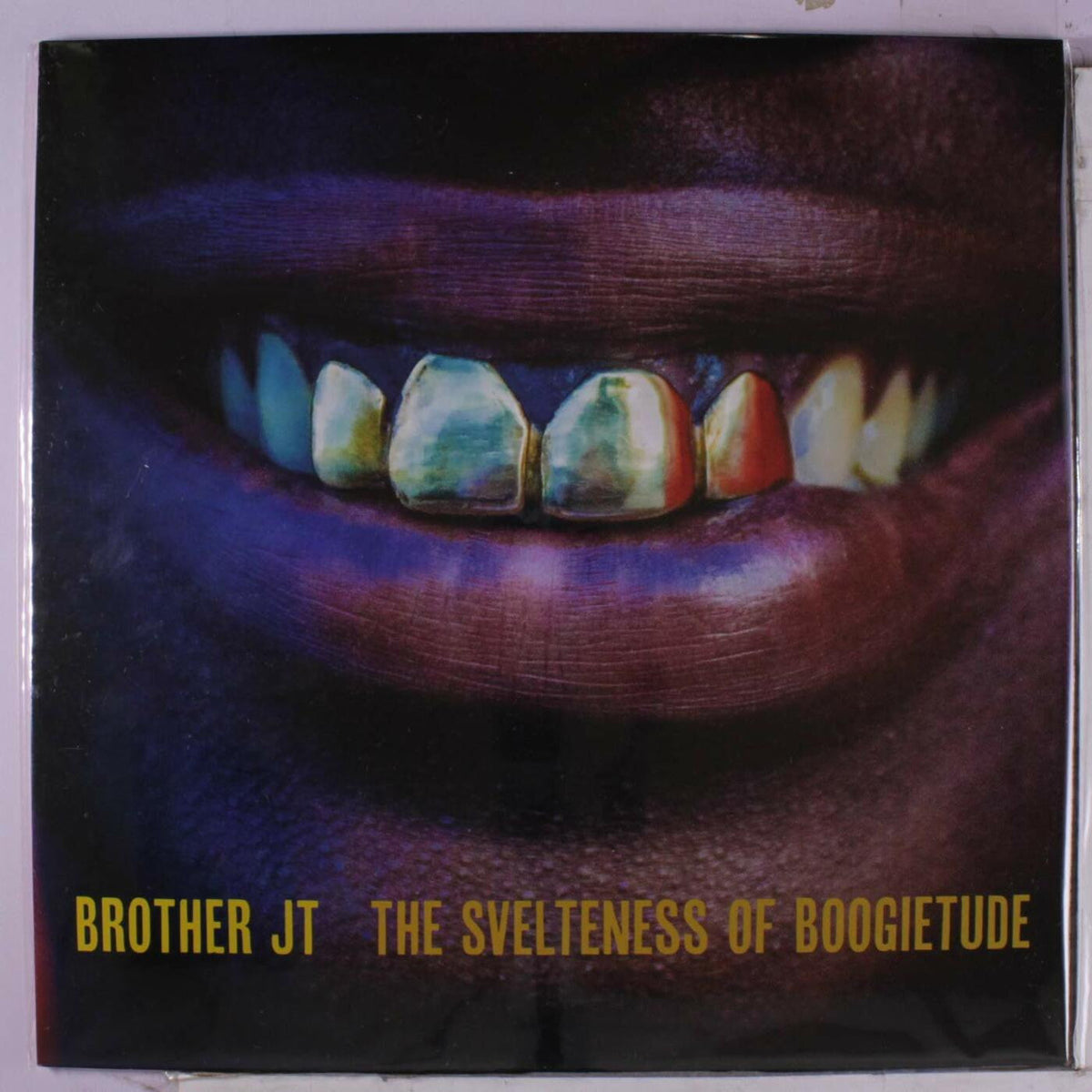 The Svelteness of Boogietude Vinyl Record