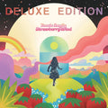 Jessie Baylin - Strawberry Wind (Deluxe Edition, Tangerine & Strawberry Sherbet Vinyl) Vinyl Record