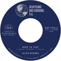 Here to Stay b/w If You Don't Want My Love Vinyl Record