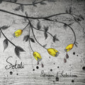 Pettersson & Fredriksson - Sotali Vinyl Record