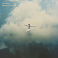 Paul White - Peace In Chaos Vinyl Record