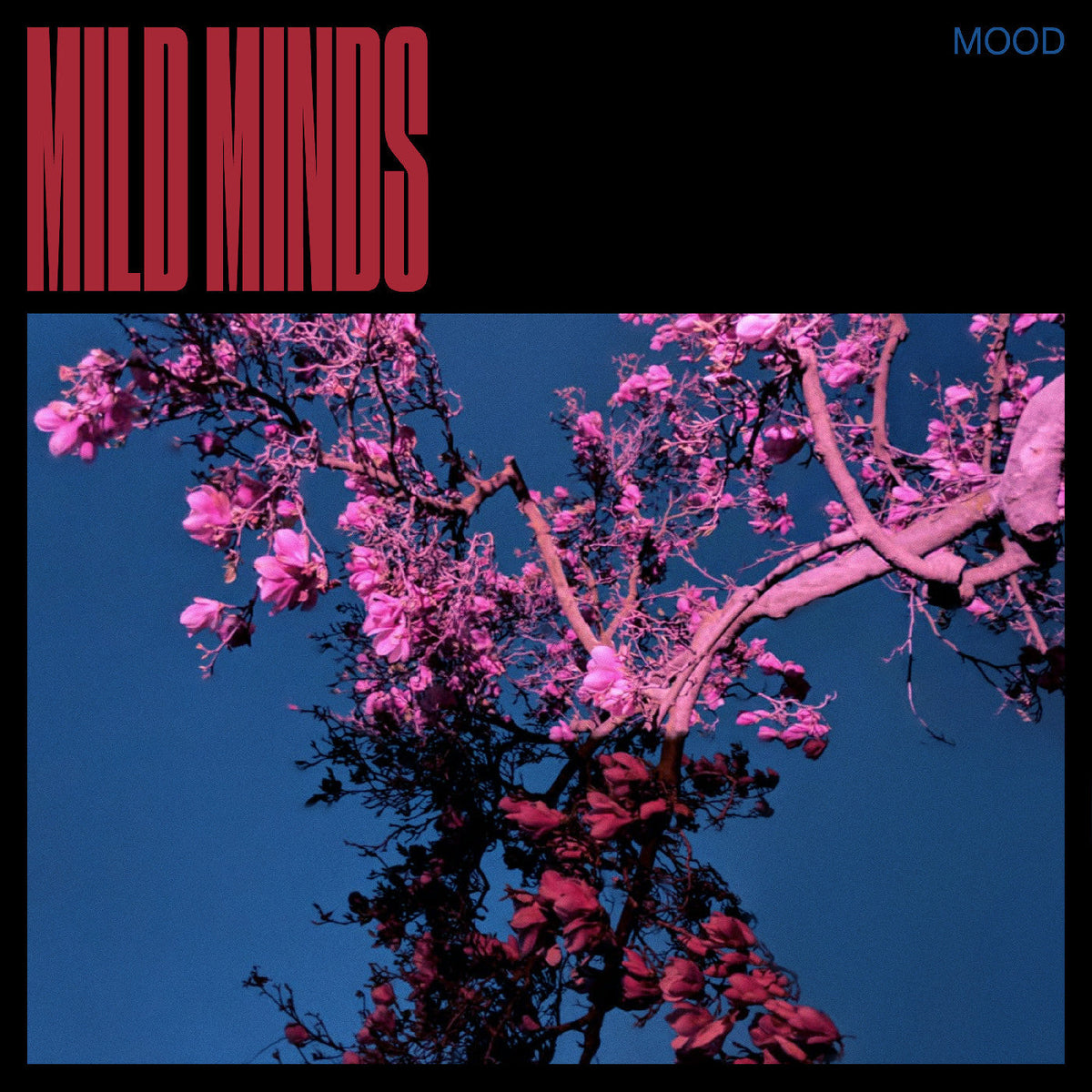 Mild Minds - MOOD (Blue Vinyl) Vinyl Record