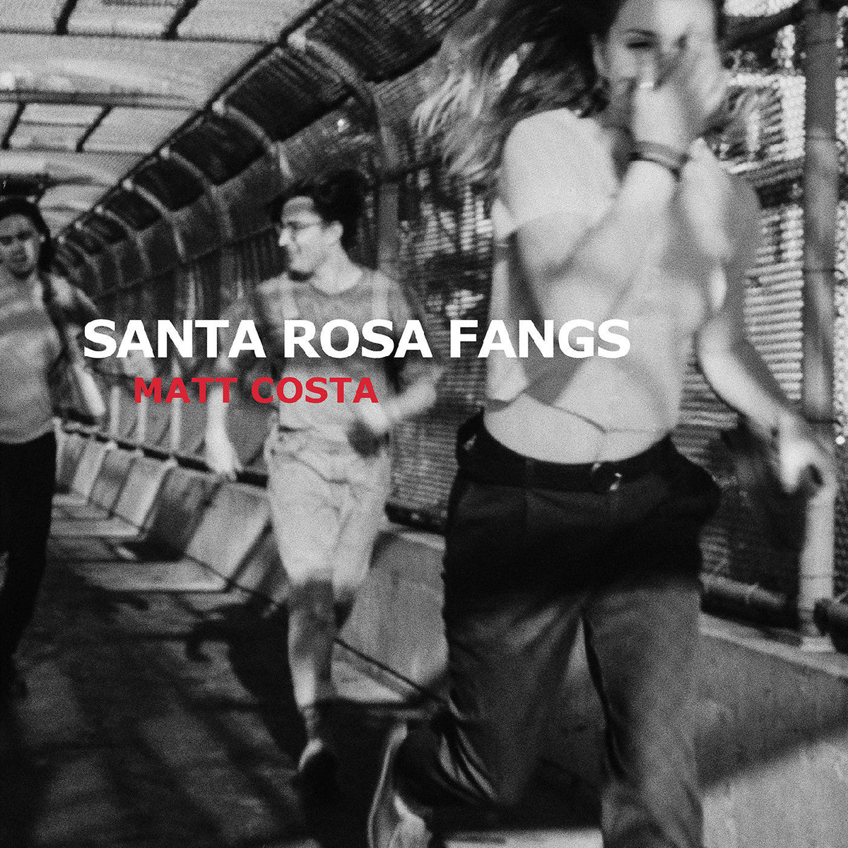 Matt Costa - Santa Rosa Fangs Vinyl Record