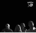 Babelfish ( Green,barry / Beraha,brigitte ) - Babelfish - Music CD