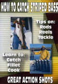 How To Catch Striped Bass - How To Catch Striped Bass - DVD