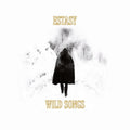 Wild Songs [LP] Vinyl Record