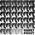 Harry Pussy - Let's Build A Pussy - Vinyl Record