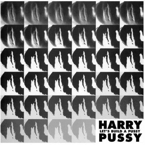 Harry Pussy - Let's Build A Pussy - Vinyl Record