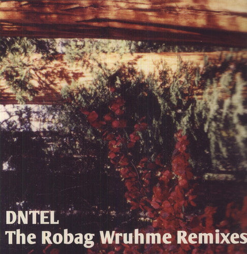 Dntel - Robag Wruhme Remixes - Vinyl Record