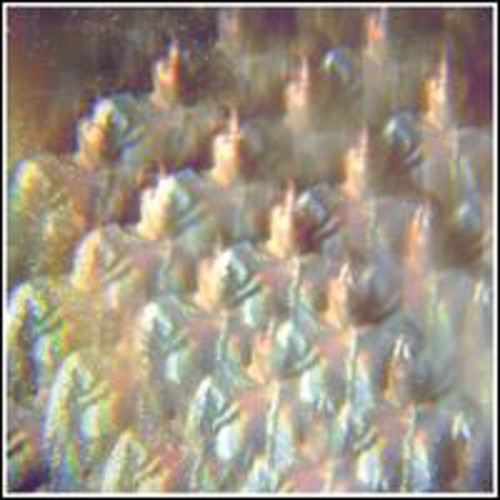 Stealing Sheep - Into The Diamond Sun - Vinyl Record