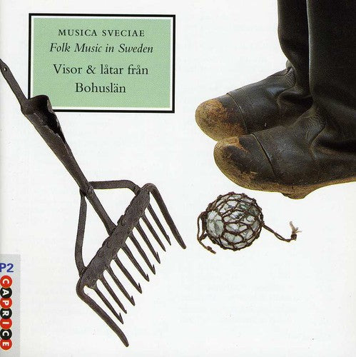 Folk Music In Sweden 20 / Various - Folk Music In Sweden 20 / Various - Music CD