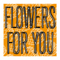 Sole,nick - Flowers For You - Vinyl Record