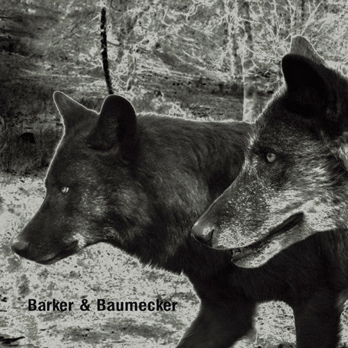 Barker & Baumecker - Transsektoral - Music CD