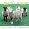 Sheep's Power - Drops Of Water Make A Mighty Ocean - Music CD