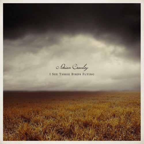 Crowley,adrian - I See Three Birds Flying - Vinyl Record