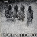 D.y.s. - Brotherhood - Vinyl Record