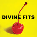 Divine Fits - A Thing Called Divine Fits - Vinyl Record
