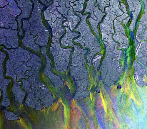 Alt-j - An Awesome Wave - Music CD