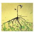 Watine - Still Grounds For Love - Music CD