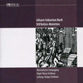 Bach,j.s. / Musicalische Compagney / Eichhorn,k. - Stil Antico-motetten - Music CD