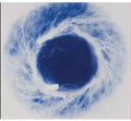 Yokokimthurston Music CD