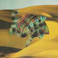 Django Django - Django Django - Vinyl Record