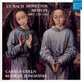 Cantus Colln - Bach Motets - Music CD